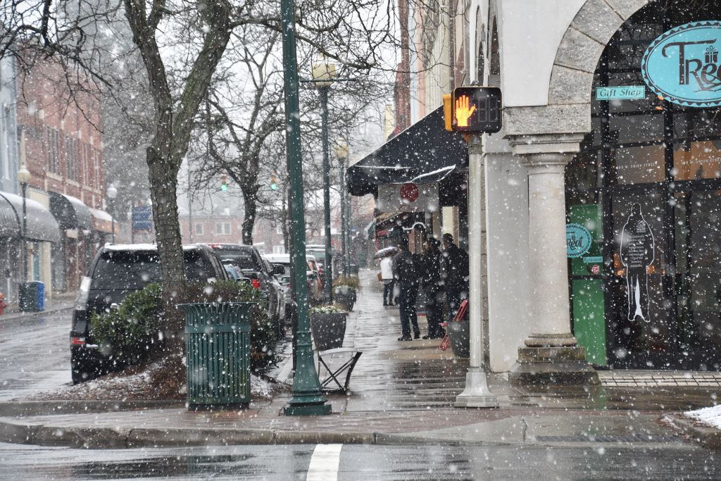 snow 1-31-20 008 (1024x683).jpg